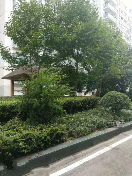 佳境天城,团结路98号-枝江佳境天城二手房,租房,房价-枝江安居客