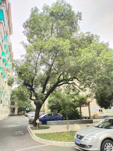 南滨花园二区,衢江南路 - 衢州南滨花园二区二手房,租房,房价-衢州