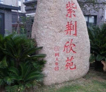 桂花城小区图片