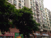 木棉湾小区图片