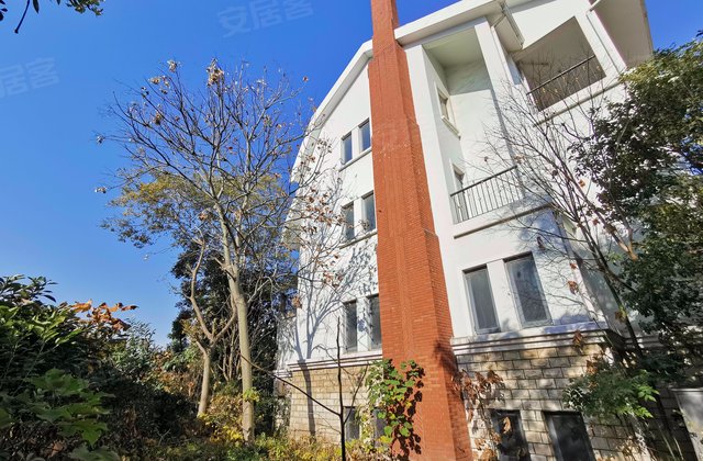 美兰金邸(别墅),美兰湖路333弄-上海美兰金邸(别墅)二手房,租房,房价