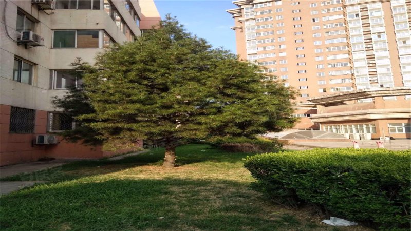 紫薇花园,电子一路249号-西安紫薇花园二手房,租房,房价-西安安居客