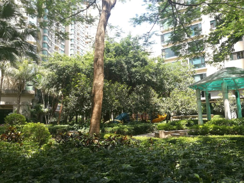 芳草园小区,天河北路571号-广州芳草园小区二手房,租房,房价-广州安居