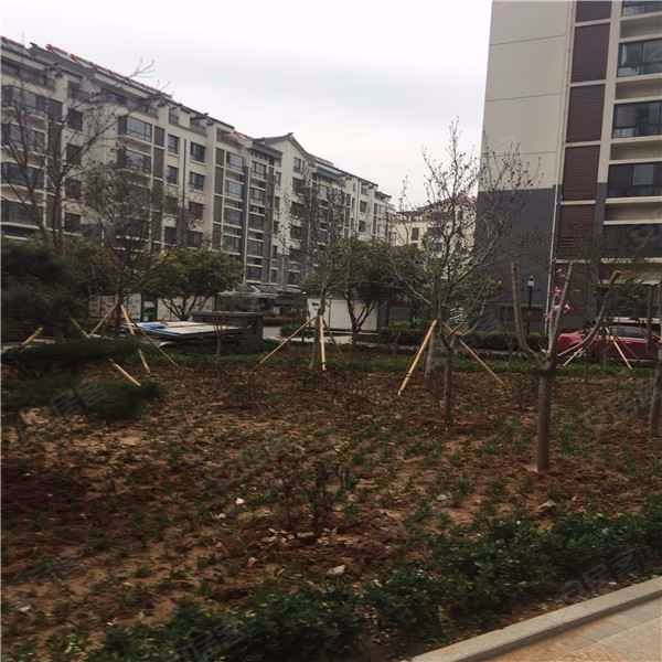 紫荆城,文化路-肥城紫荆城二手房,租房,房价-肥城安居客