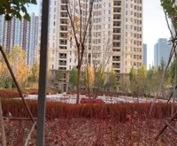 一品漫城(五期商住楼)