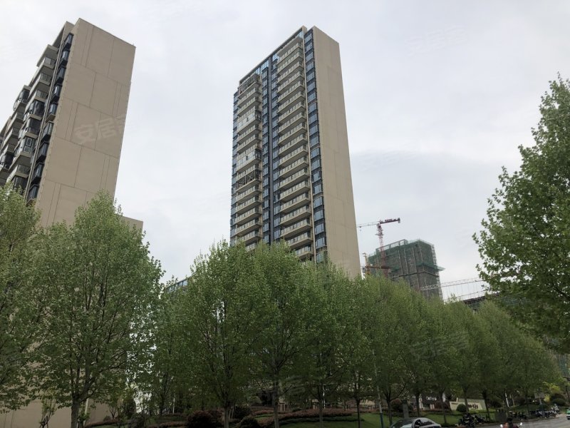 碧桂园九玺,德化路-九江碧桂园九玺二手房,租房,房价-九江安居客