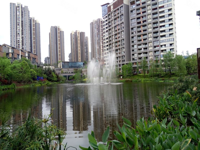 国奥村(一期a组团),国惠路45号-重庆国奥村(一期a组团)二手房,租房