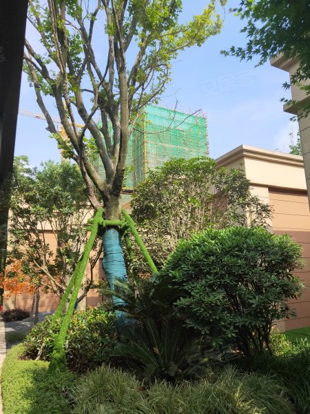 奥克斯朗庭,蜀山路,近中兴大道-湖州奥克斯朗庭二手房,租房,房价-湖州