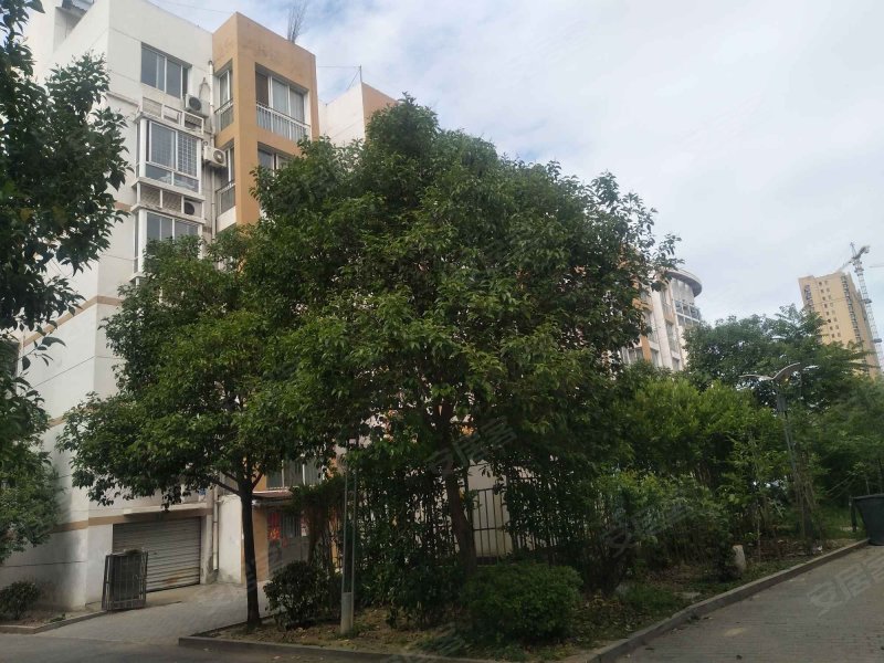 东方名苑,上海北路-泗阳东方名苑二手房,租房,房价-泗阳安居客