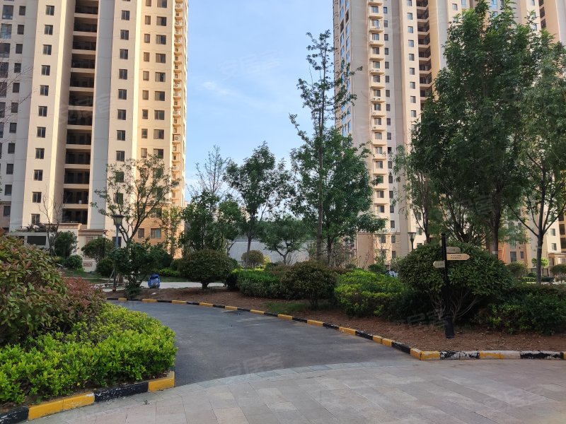 中南世纪城(三期),重庆中路873号-青岛中南世纪城(三期)二手房,租房