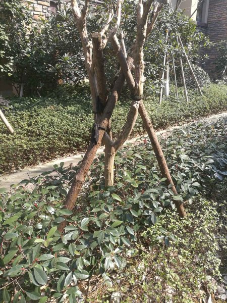 文澜水岸,崇实路172号-宁波文澜水岸二手房,租房,房价-宁波安居客