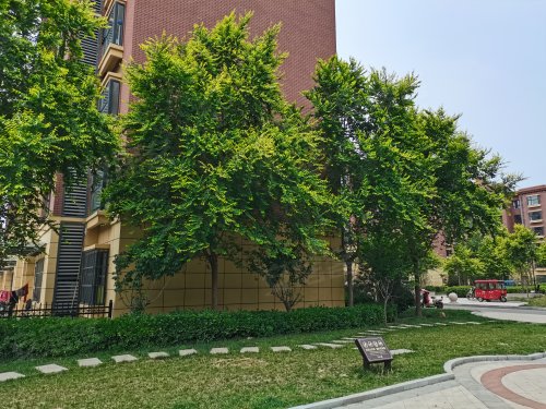 铜都凤栖湾,254省道 - 阳谷铜都凤栖湾二手房,租房,房价-阳谷安居客