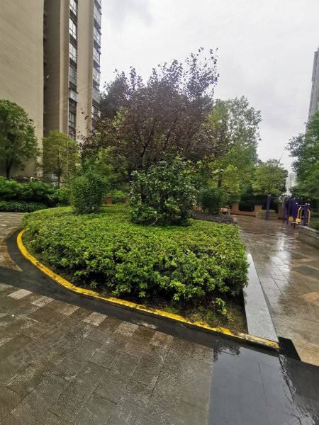 圣城华府御林苑,平庄大道201号-遵义圣城华府御林苑二手房,租房,房价