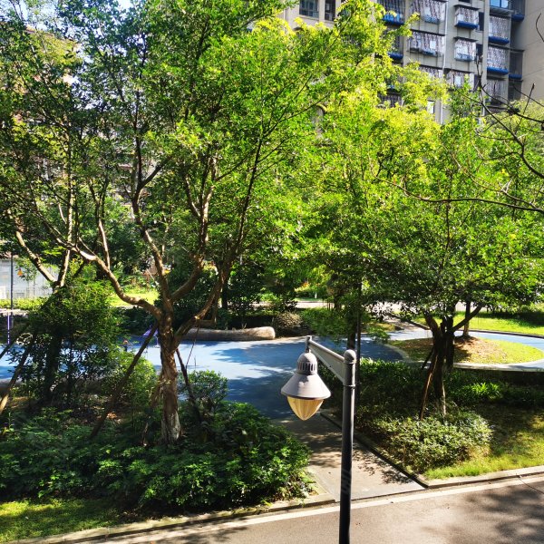 绿苑香山美树,酒城大道二段8号-泸州绿苑香山美树二手房,租房,房价