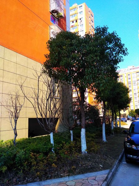 凤凰曦城东苑,周山河路-泰州凤凰曦城东苑二手房,租房,房价-泰州安居