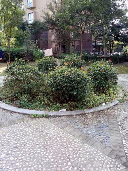 馨佳园十一街坊 