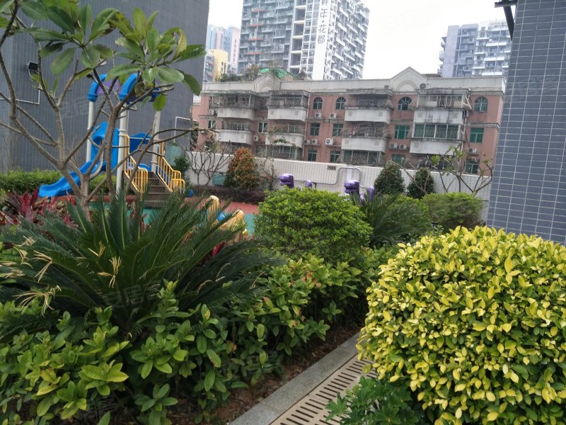 名门华府,罗田路8号-深圳名门华府二手房,租房,房价-深圳安居客