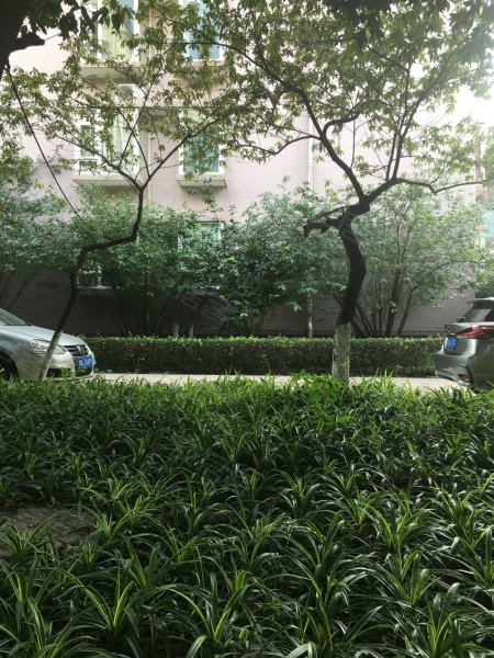 锦城花园,一品天下大街68号-成都锦城花园二手房,租房,房价-成都安居