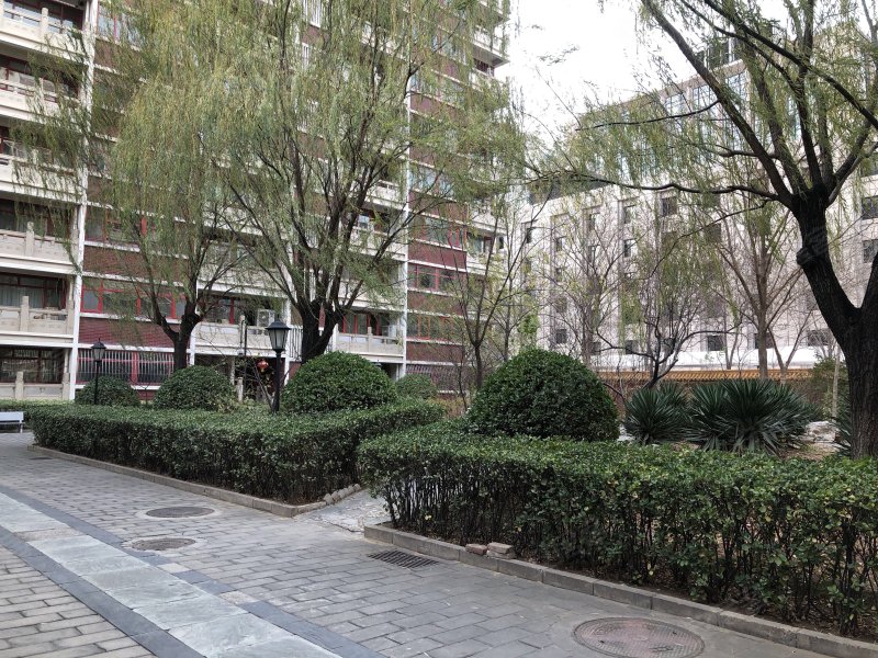 中华家园,南菜园街53号