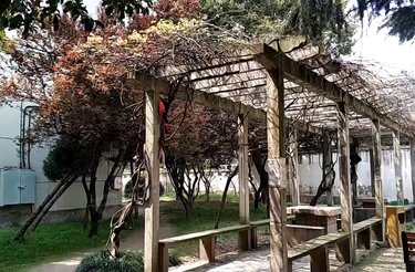 牡丹新村(闵行)