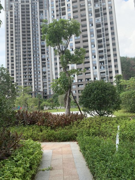 筑家蓝波湾(闽清)