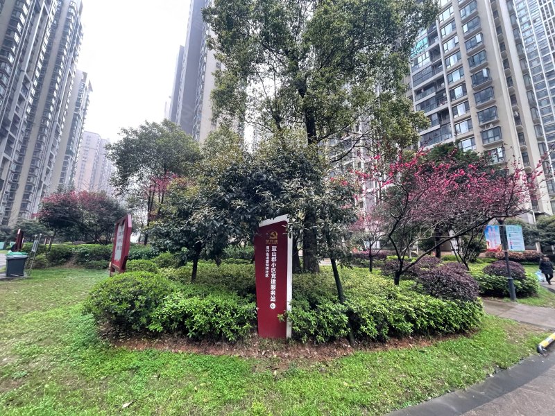 蓝山郡