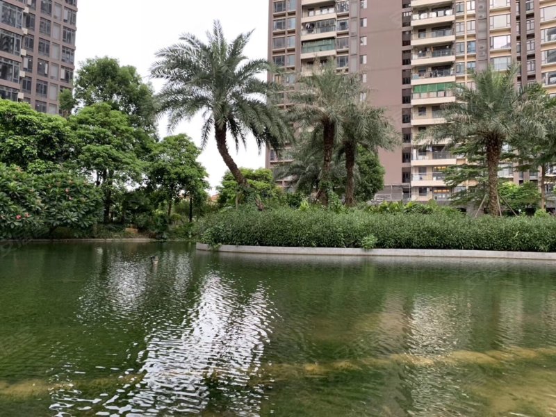 美的君兰江山,美的大道10号-佛山美的君兰江山二手房,租房,房价-佛山