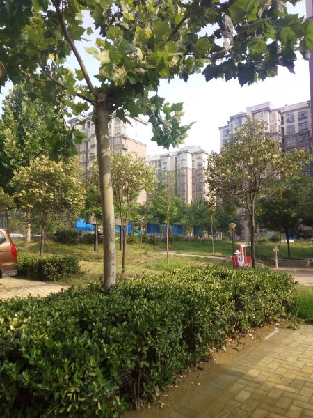 文苑小区(新郑),遵大路53号-郑州文苑小区(新郑)二手房,租房,房价