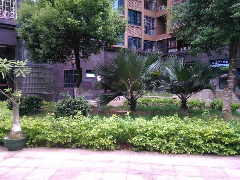 百江花园,九龙大道1167号-漳州百江花园二手房,租房,房价-漳州安居客