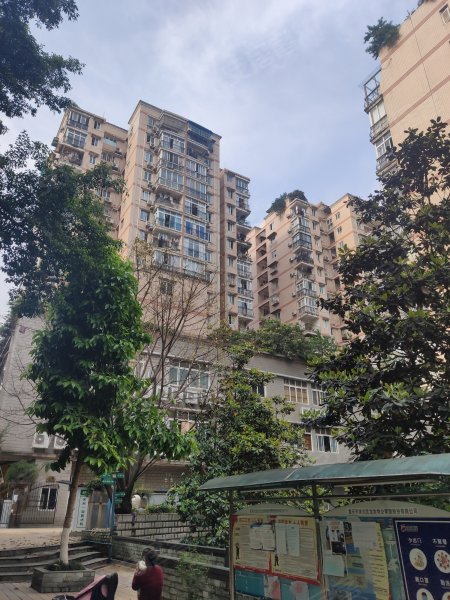 新城绿园,龙脊路101号-重庆新城绿园二手房,租房,房价-重庆安居客