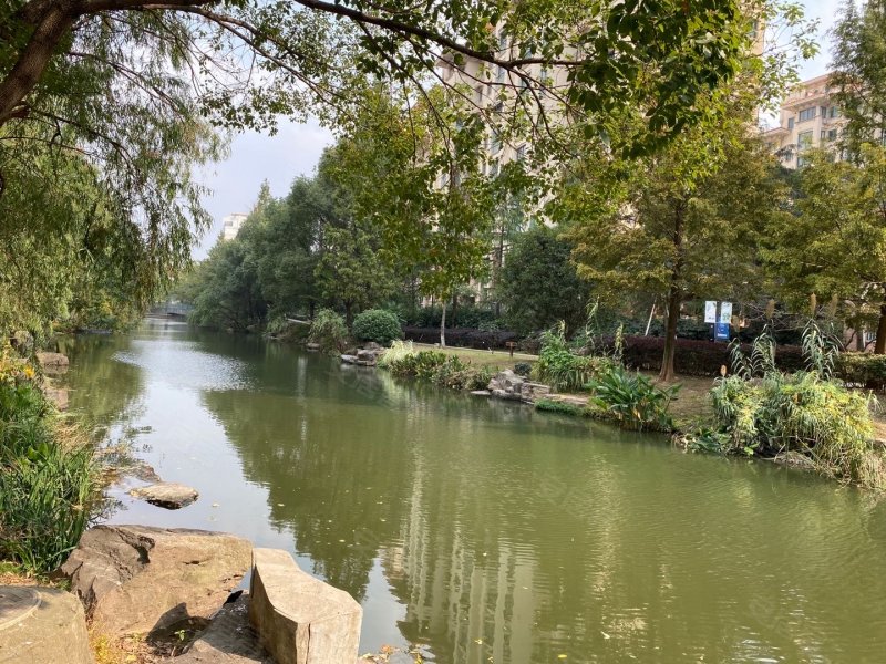 青林湾(东a区),青林湾路25号-宁波青林湾(东a区)二手房,租房,房价