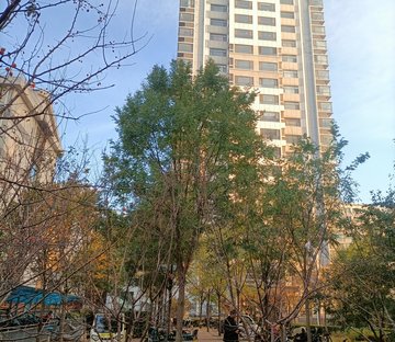 小区图片