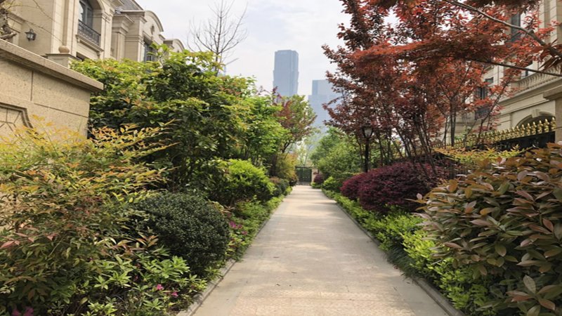 东海水景城(别墅)