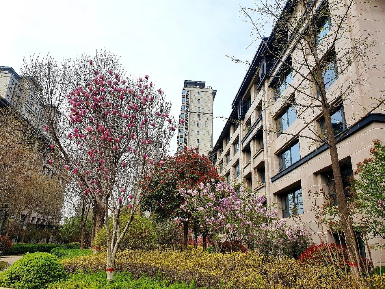 邯郸房产网>邯郸二手房>丛台二手房>丛台二手房>阳光东尚香樟园>