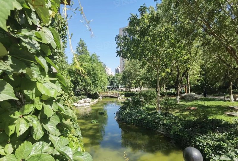 国兴观湖国际,东四环北路88号-北京国兴观湖国际二手房,租房,房价