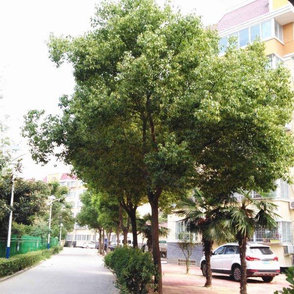 永和苑,杜诗路-南阳永和苑二手房,租房,房价-南阳安居客