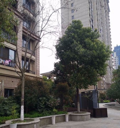 桐乡二手房 濮院二手房 港座二手房 春天花园(二期)