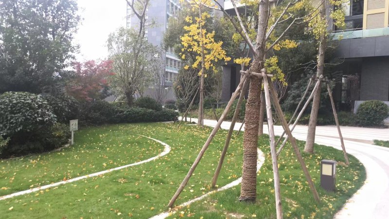 盛大天地青春里(二期) 