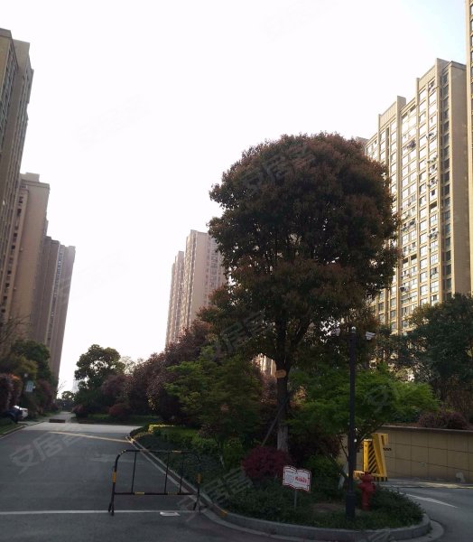 上城春天里,曲秀路336号-海盐上城春天里二手房,租房,房价-海盐安居客