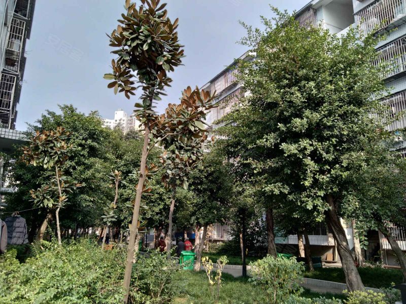 康馨园小区,回龙路91号-重庆康馨园小区二手房,租房,房价-重庆安居客