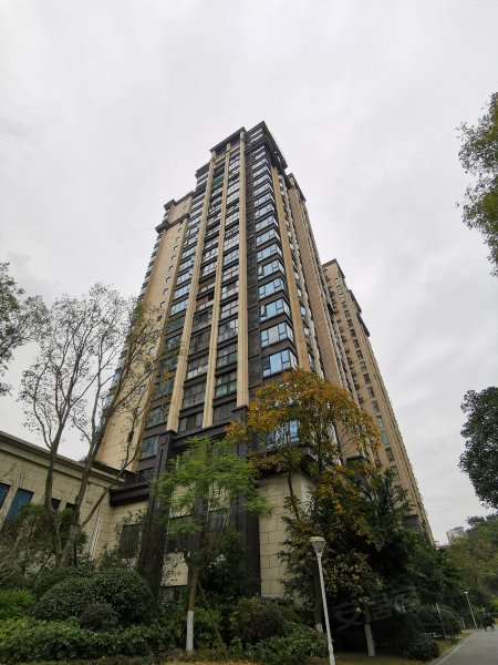 紫金城,金童路3号-绵阳紫金城二手房,租房,房价-绵阳安居客