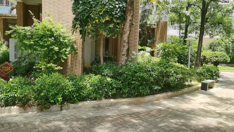 泽润华庭,宝丽路55号-深圳泽润华庭二手房,租房,房价-深圳安居客