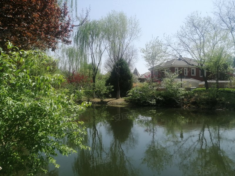 提香草堂(别墅)