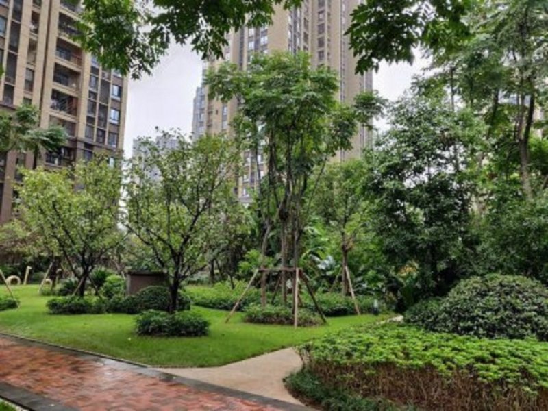 金辉城春上南滨,铜苑路98号-重庆金辉城春上南滨二手房,租房,房价