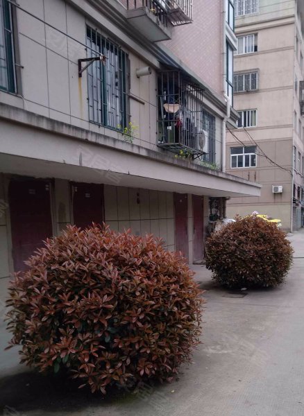 文华苑(桐乡),文华路1046号-嘉兴文华苑(桐乡)二手房,租房,房价-嘉兴