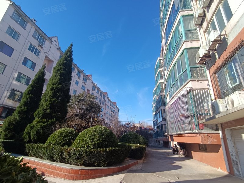 欣苑小区,宏福路1号-济南欣苑小区二手房,租房,房价-济南安居客