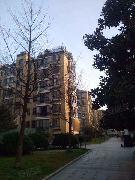 阳光新城(公寓住宅),九虎路,近育才路-海宁阳光新城(公寓住宅)二手房