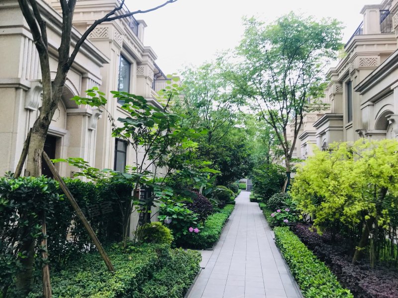 龙湖椿山(别墅)