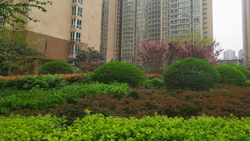 旭景新港,汉城南路100号-阜阳旭景新港二手房,租房,房价-阜阳安居客