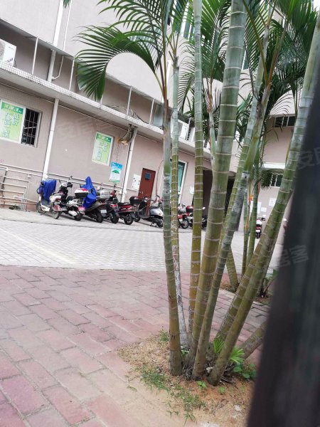 绿海大厦,海昌路6号-湛江绿海大厦二手房,租房,房价-湛江安居客